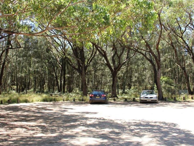 Wasp Head Picnic Area, Murramurang National Park. Photo: John Yurasek/NSW Government