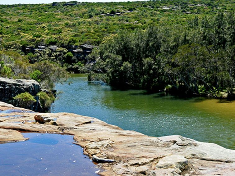 Lagoon at Wattamolla picnic area, Royal National Park. Photo: Kevin McGrath/OEH.