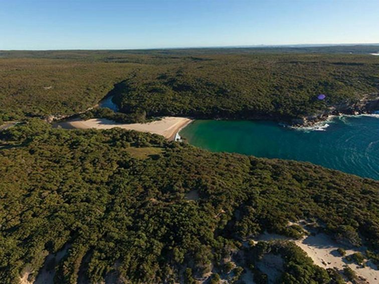 Aerial view of Wattamolla picnic area and lagoon, Royal National Park. Photo: David Finnegan/OEH