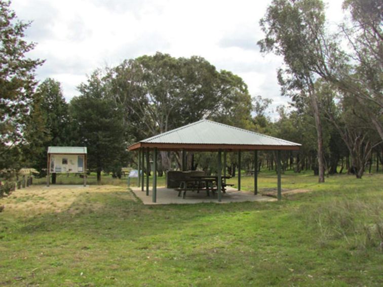 Ben Halls Campground, Weddin Mountains National Park. Photo: M Cooper/NSW Government