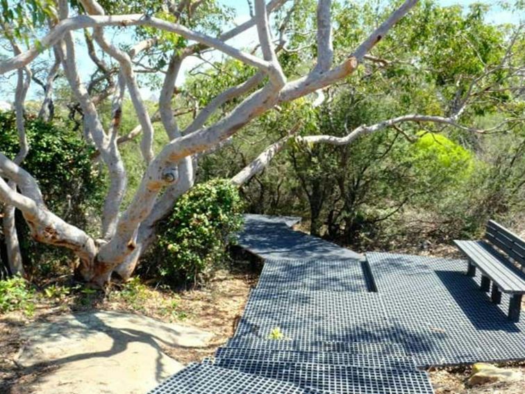 Seat along Western Escarpment walking track, Malabar Headland National Park. Photo: E Sheargold