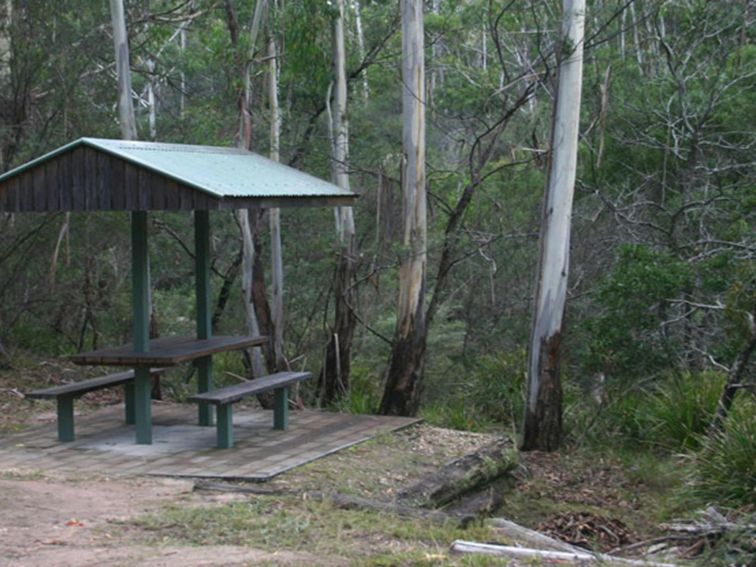 White Rock River picnic area, South East Forest National Park. Photo credit: David Costello &copy;