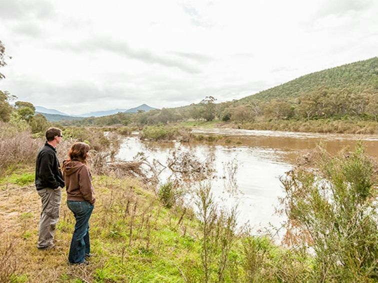 Willis picnic area, Kosciuszko National Park. Photo: Murray Vanderveer/DPIE