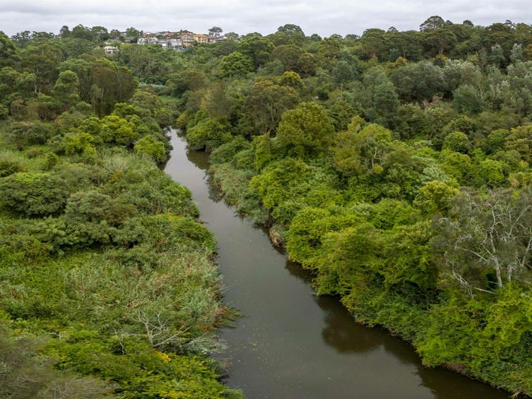 Wolli Creek, Wolli Creek Regional Park. Photo: John Spencer &copy; DCCEEW