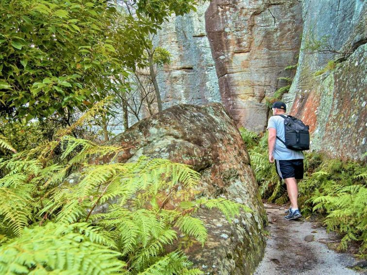 Wolli Creek Walking Track, Wolli Creek Regional Park. Photo: John Spencer