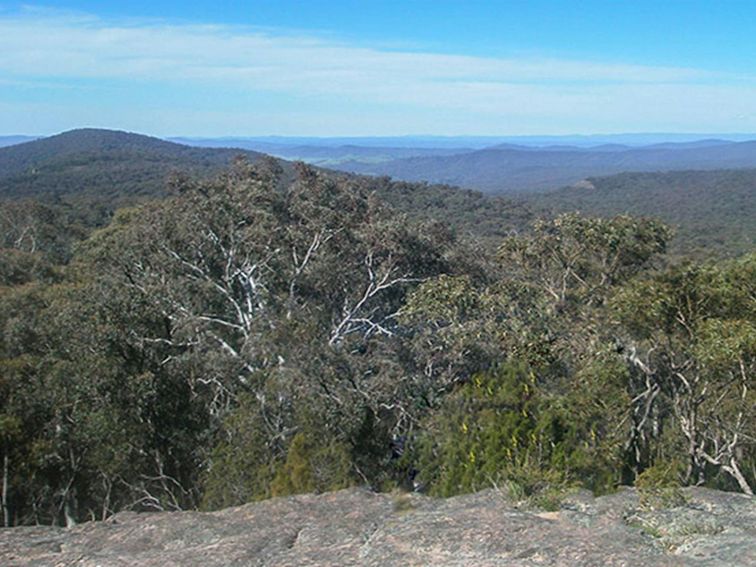Norths lookout, Woomargama National Park. Photo: David Pearce/NSW Government