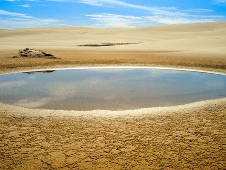 A water hole, Worimi Conservation Lands. Copyright:NSW Government