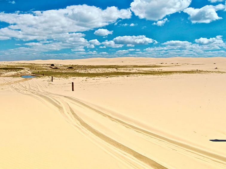 Tire tracks on the sand in Worimi National Park. Photo; John Spencer &copy; DPIE