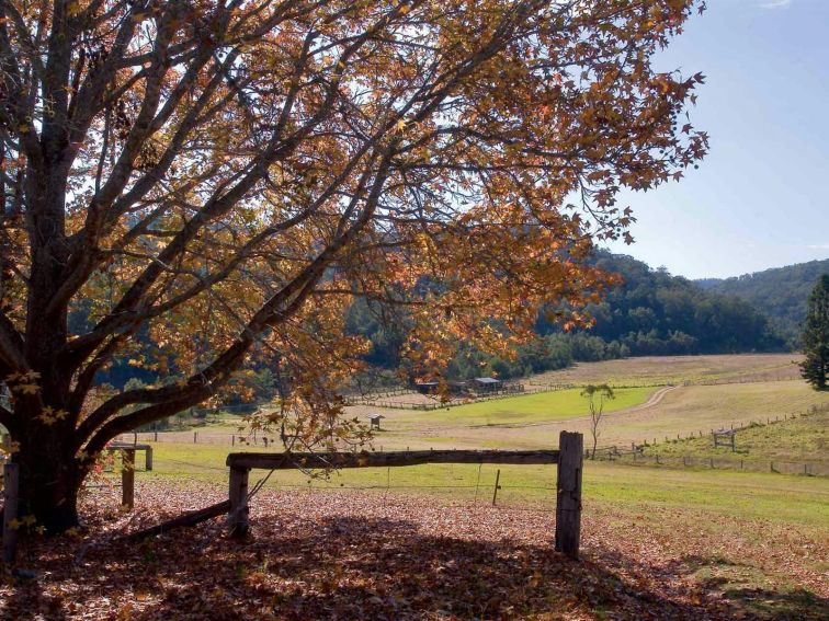 Valley view from Big Yango homestead. Photo: NSW Government.