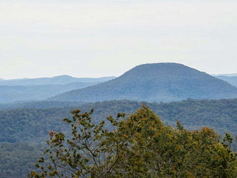 Yango walking track, Yengo National Park. Photo: John Spencer