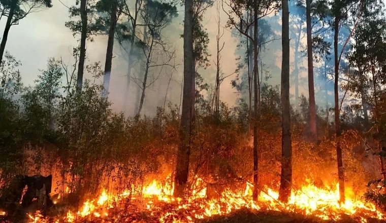 Bushfire in rural NSW