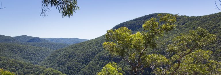 Wollemi National Park