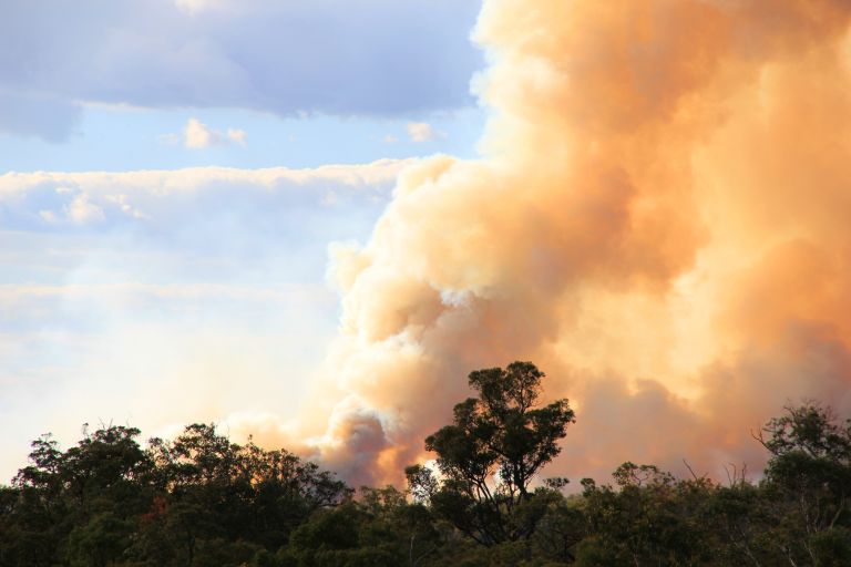 Some from bushfire over tree line