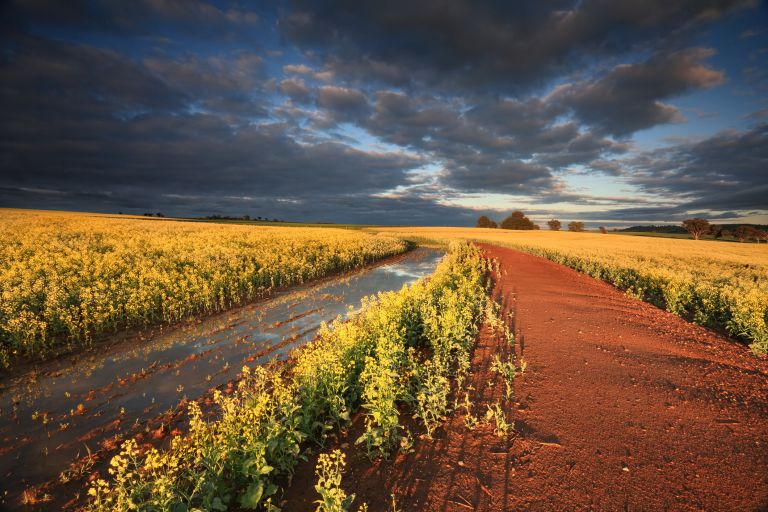 Dark clouds over landscape