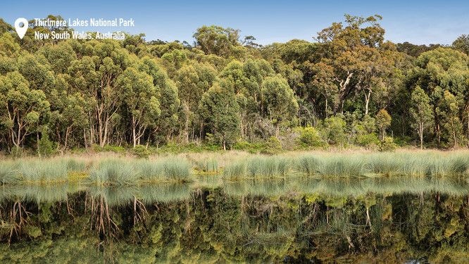 An images of a lake surrounded by trees at Thirlmere Lakes National Park, NSW, Australia