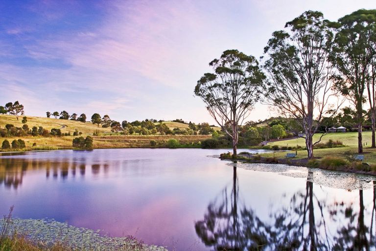 Image of Mt Annan Botanic Garden