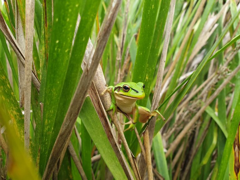 Image of Olympic Park Nature Trail