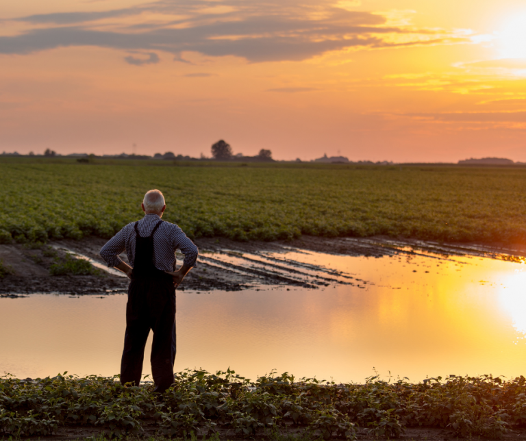 Grants farmer with flooded field