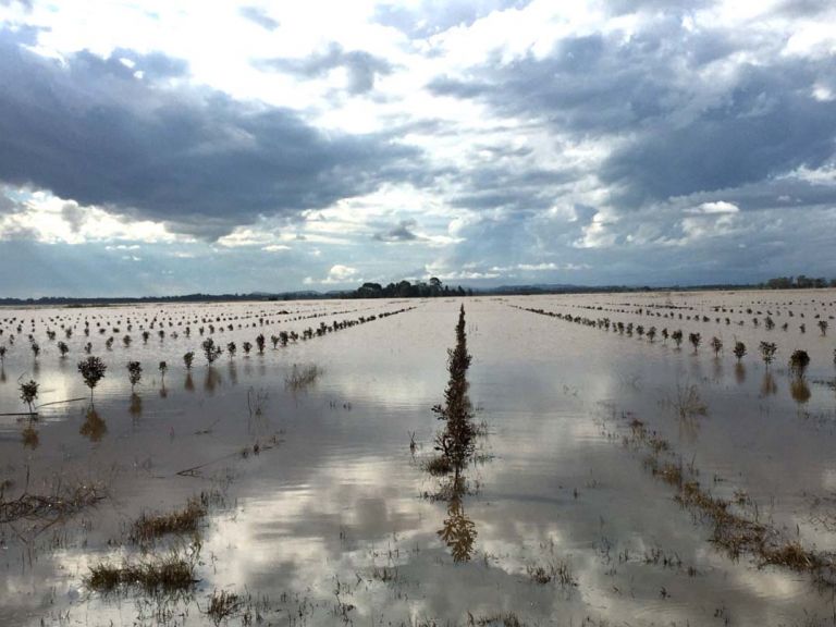 A flooded field with clouds overhead.