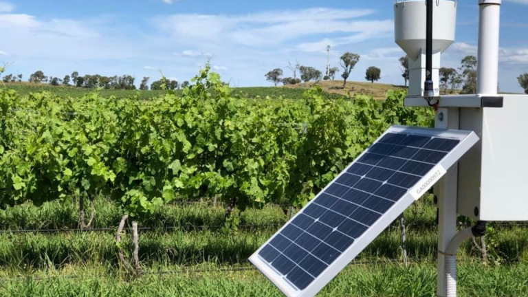 A solar panel faces the sky on a farm, featuring  a backdrop of greenery 