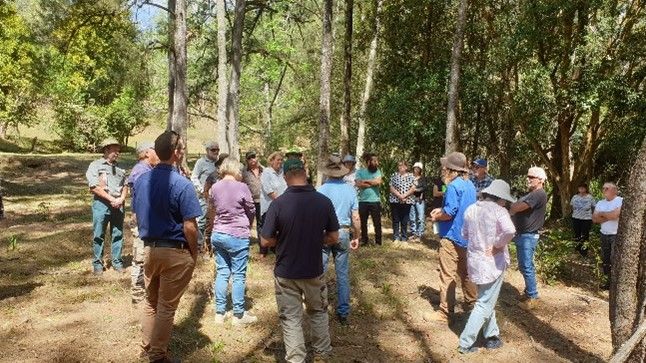 Land managers grouped around in a circle inside a forest