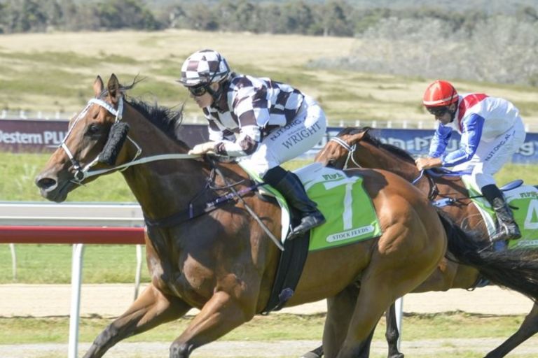 Horse racing in regional NSW.