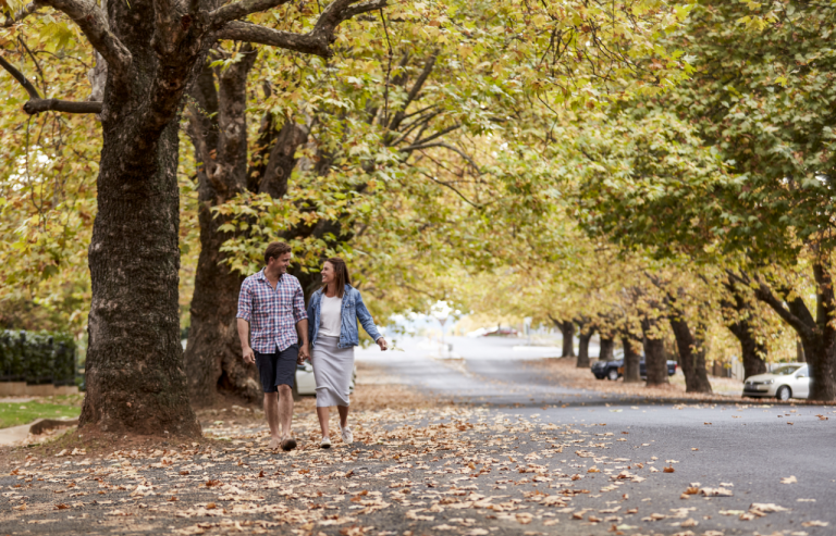 Road lined by trees in town of Orange