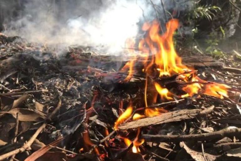 A small controlled file burning in the bush. 