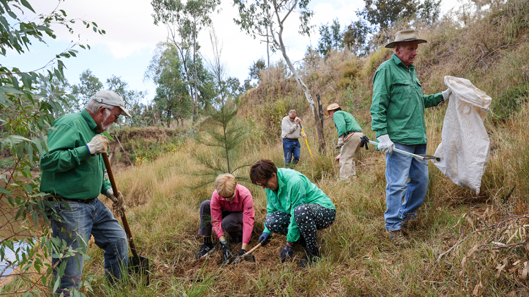 group of volunteers working on a river bank