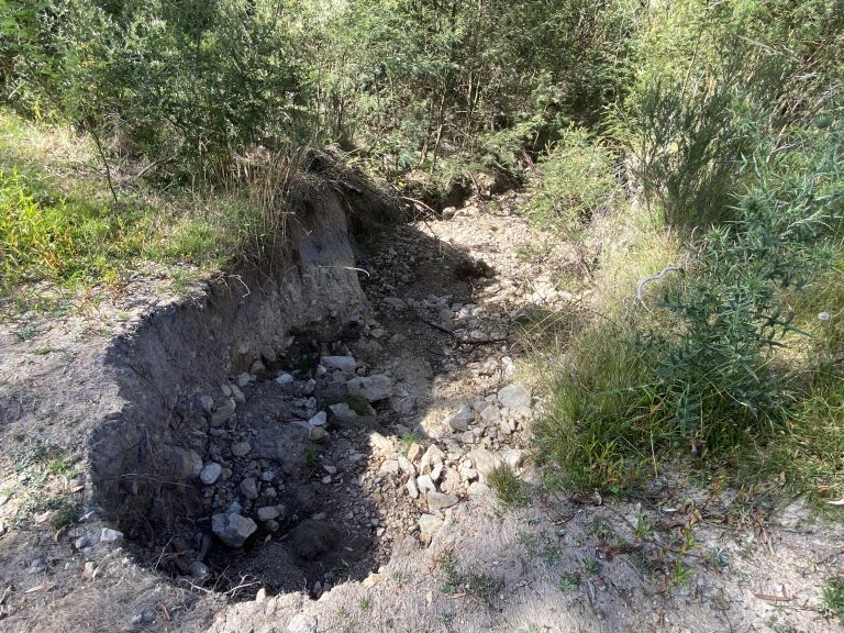 The image shows gully erosion impacting native vegetation.