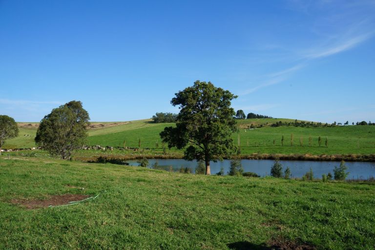 Photograph of a dam in farmland in NSW.