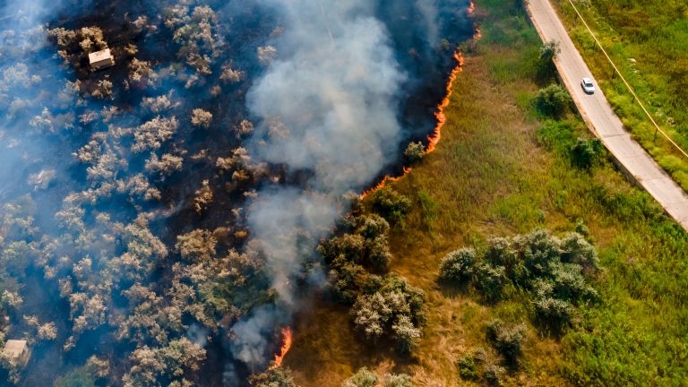 Bushfire near road