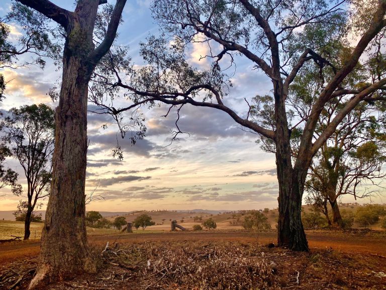 Australian rural landscape