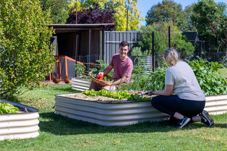 Man and his partner tending to garden