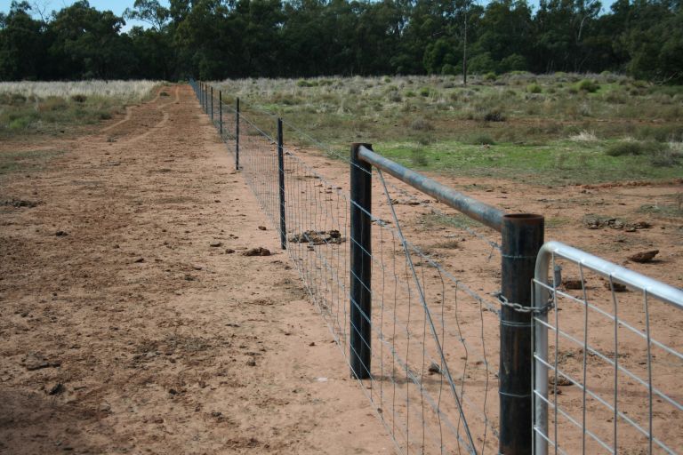 Good fencing to keep livestock out of riparian area