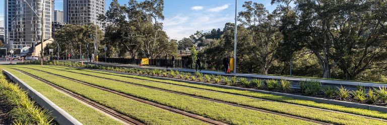 Parramatta Light Rail ‘green track’.