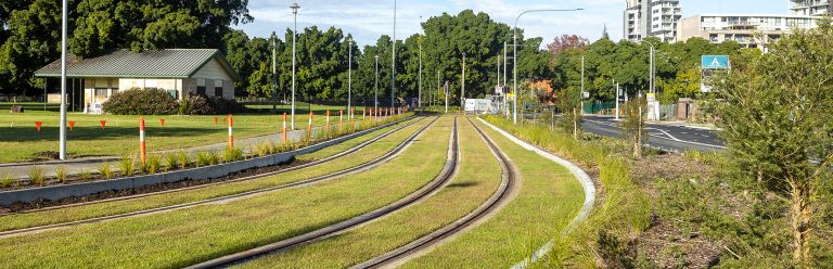 Parramatta Light Rail green track.