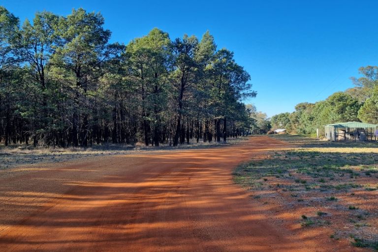 Tubba-Gah (maing) Wiradjuri Aboriginal Corporation Jinchilla.