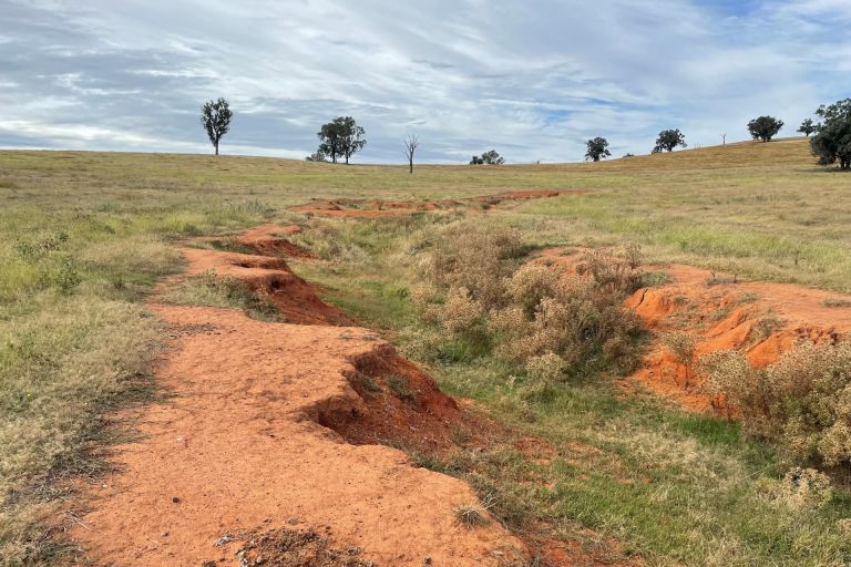 Photograph of erosion in a field in regional NSW.