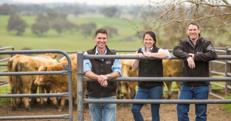 Three people wearing jeans and black uniform tops leaning on a metal cattle yard gate with tan coloured cows. Green pasture hills in the background.