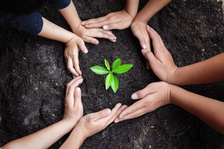 Children's hands around a tree 