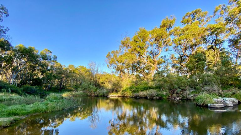 Uralla NSW landscape