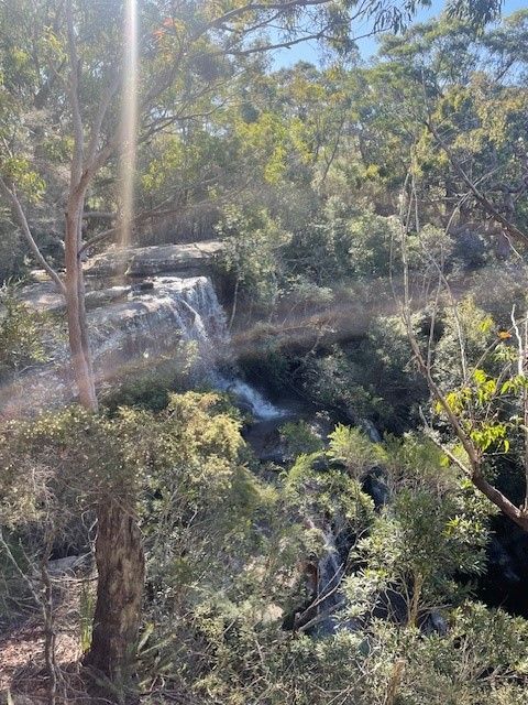 Australian bush surrounding a rocky waterfall