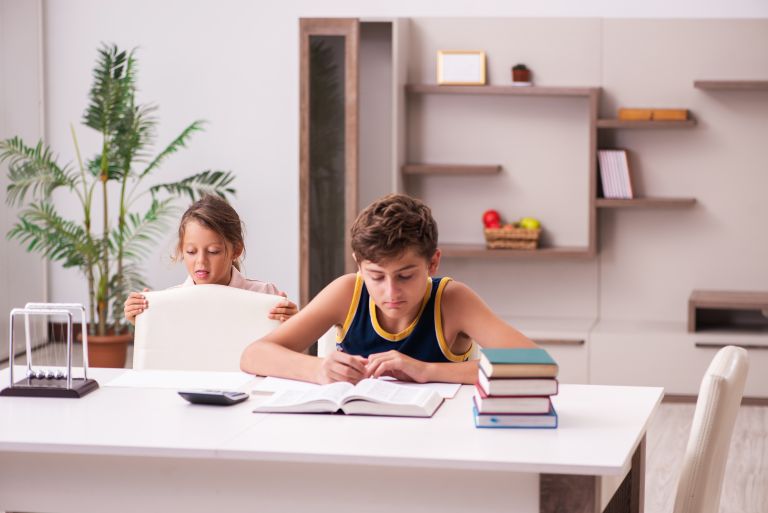 Two home schooled children studying