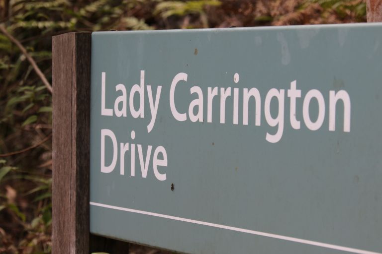 Signage with the words Lady Carrington Drive