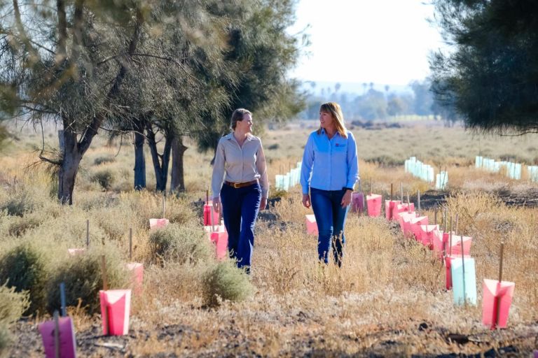 Two women walking in a paddock under-going revegetation works