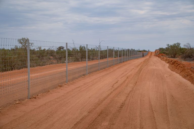 A landscape shot of the wild dog fence