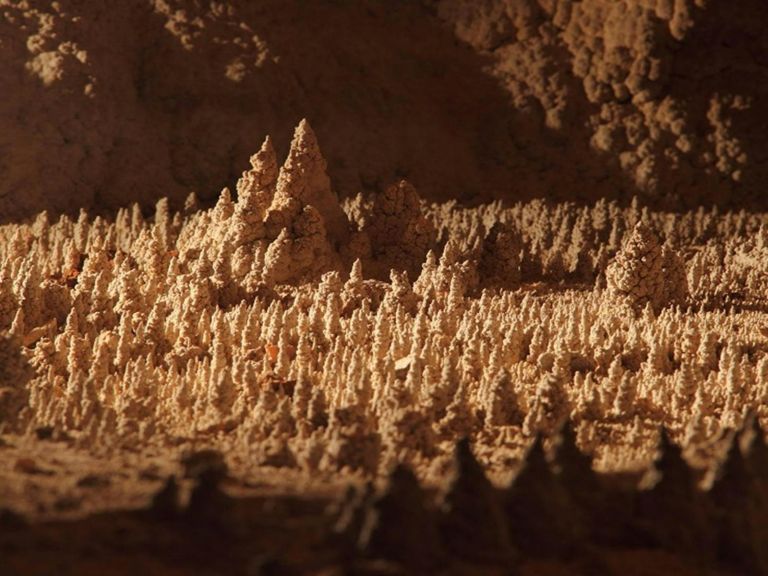 A close-up view of tiny stalagmites in Wollondilly Cave. Credit: Stephen Babka/DPE &copy; Stephen