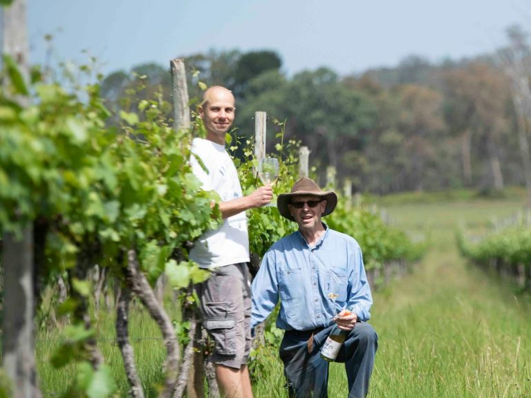 winemakers in the vines