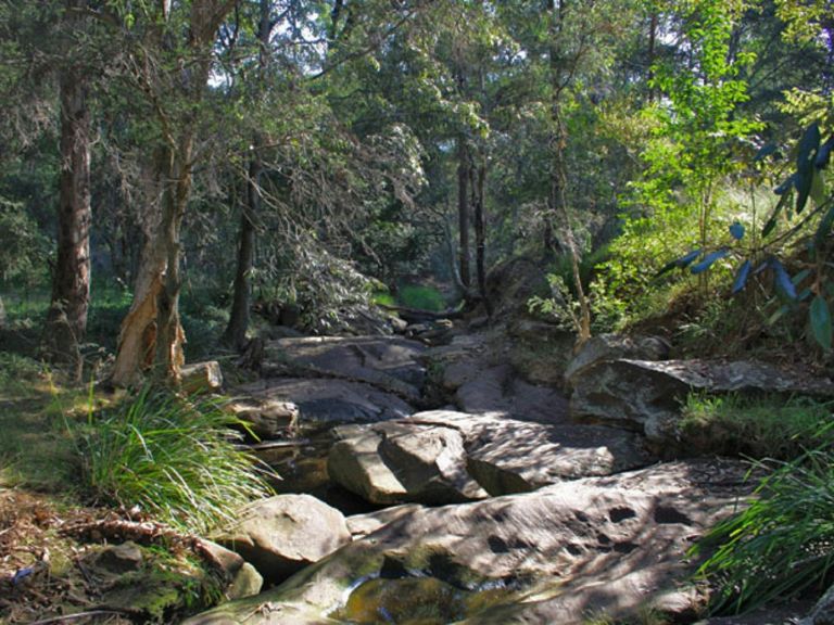 Pembroke Park Creek